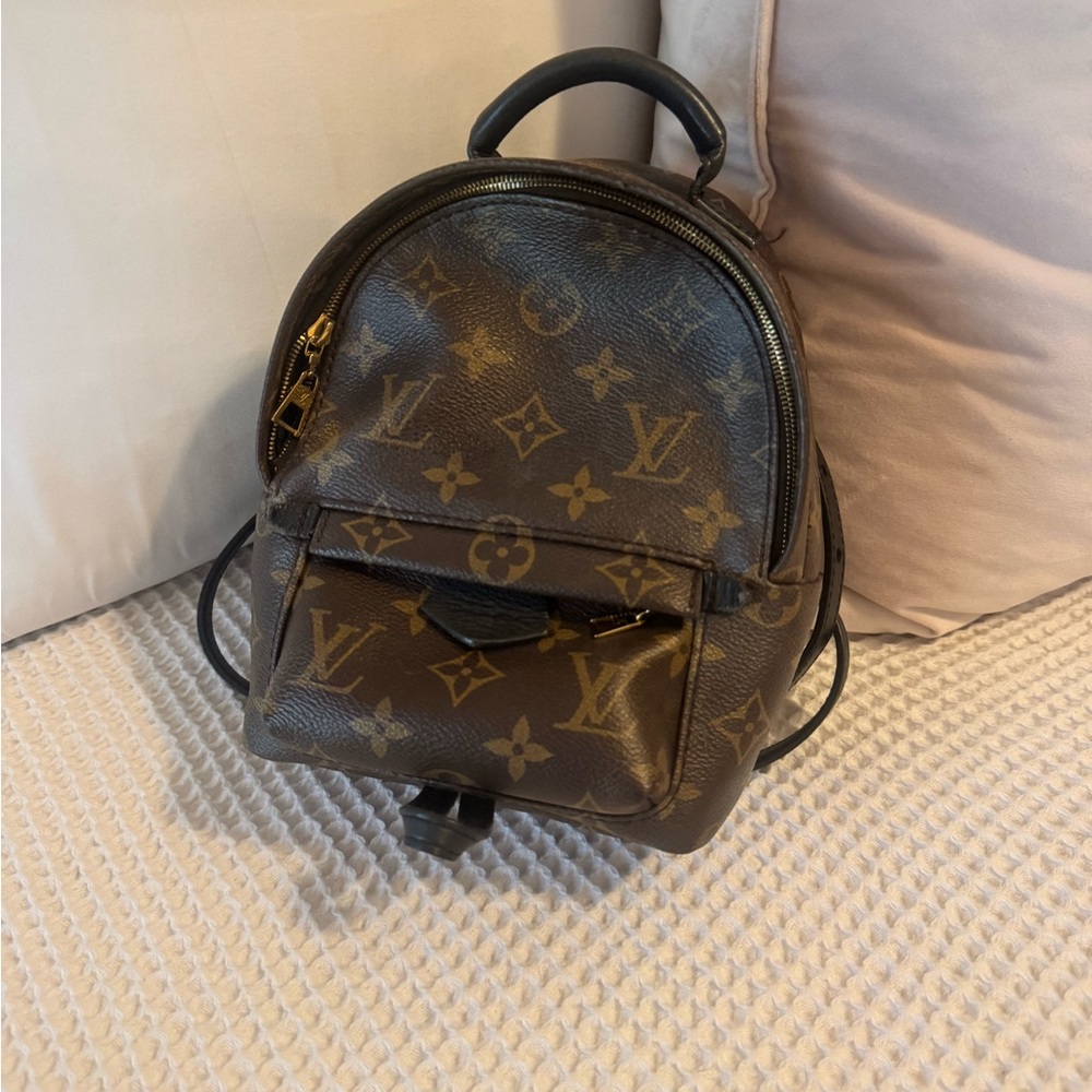 Louis Vuitton Monogram Palm Springs Mini Backpack
